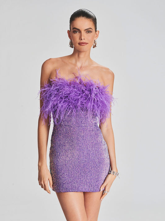 A Feather Tassel Tube Sequin Dress